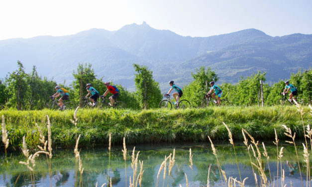 La Cyclosportive des Vins du Valais sous le signe du renouveau