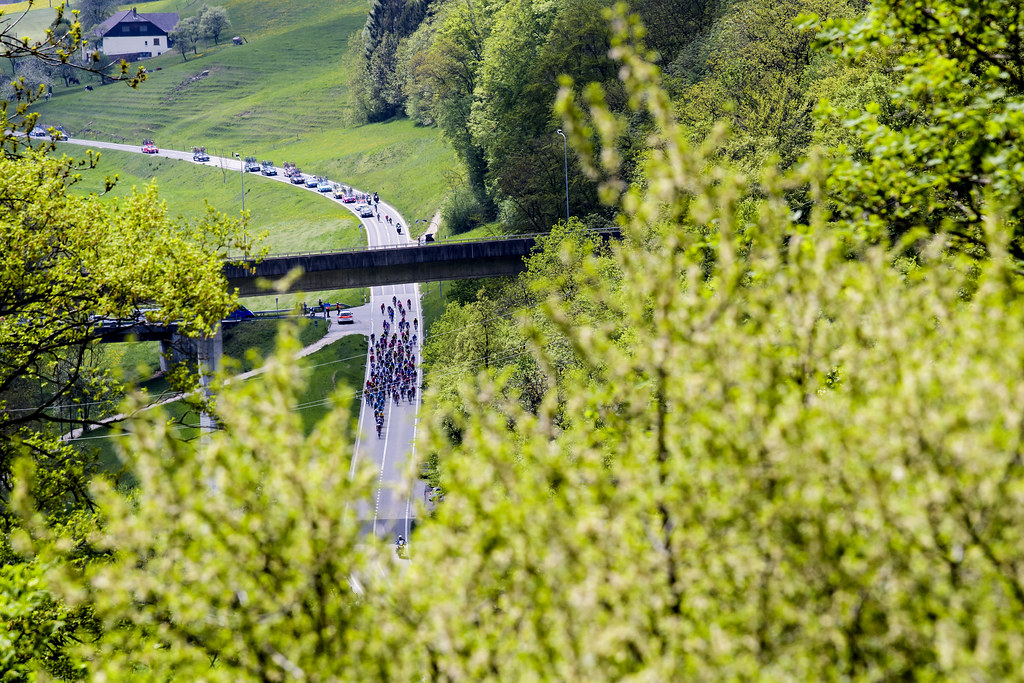 Une Grande Bataille Pimentée Par La Présence De L'équipe De Suisse ...