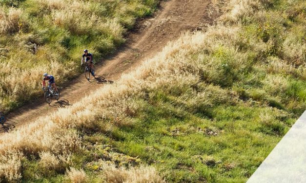 HUTCHINSON Black Mamba CX/CX +